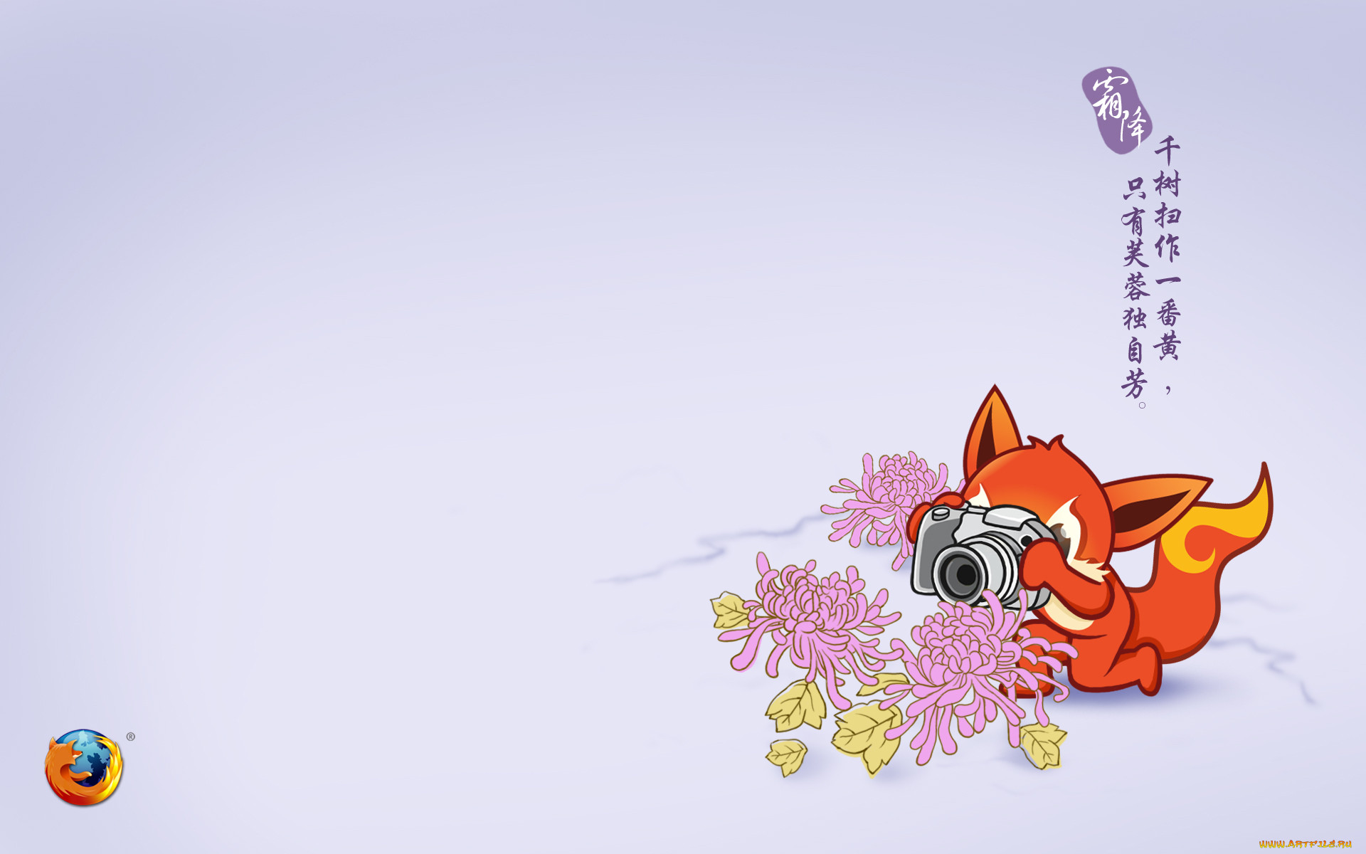 , mozilla firefox, , 